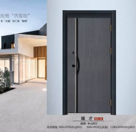 简约平板智能门系列耀才